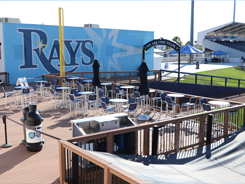 TAMPA RAYS, FL
