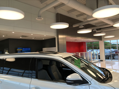 DAN CAVA TOYOTA DEALERSHIPS, NY